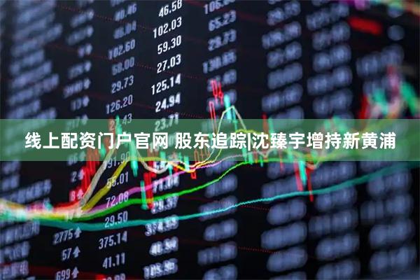 线上配资门户官网 股东追踪|沈臻宇增持新黄浦