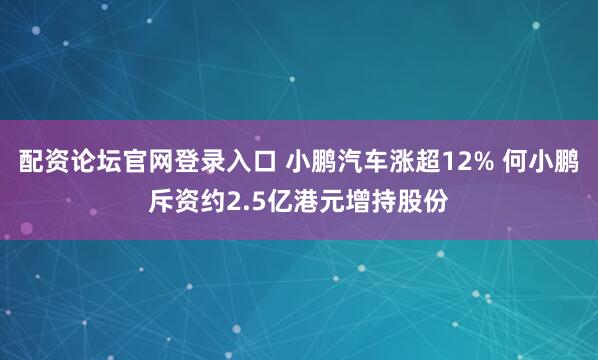 配资论坛官网登录入口 小鹏汽车涨超12% 何小鹏斥资约2.5亿港元增持股份