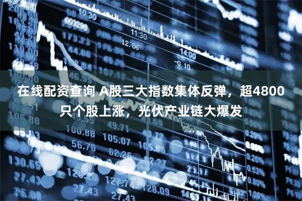 在线配资查询 A股三大指数集体反弹,超4800只个股上涨,光伏产业链大爆发