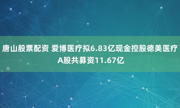 唐山股票配资 爱博医疗拟6.83亿现金控股德美医疗 A股共募资11.67亿