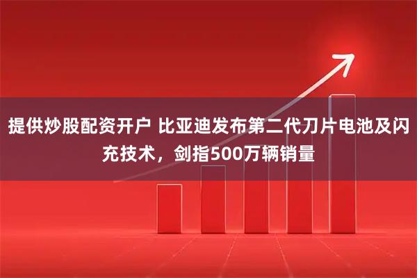 提供炒股配资开户 比亚迪发布第二代刀片电池及闪充技术，剑指500万辆销量