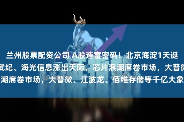 兰州股票配资公司 A股造富密码！北京海淀1天诞生2家8000亿巨头，寒武纪、海光信息涨出天际，芯片浪潮席卷市场，大普微、江波龙、佰维存储等千亿大象集体爆发