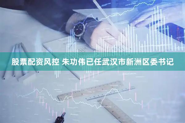 股票配资风控 朱功伟已任武汉市新洲区委书记